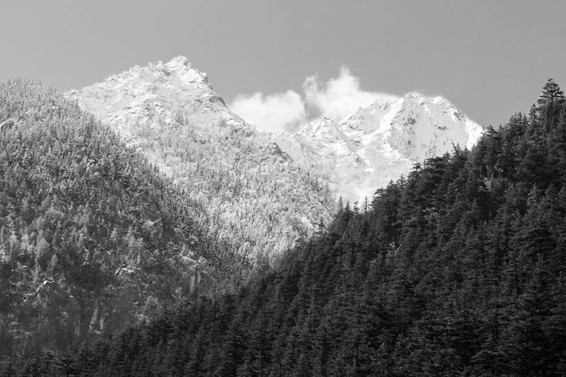 Forested Himalayan peaks near Harsil in Uttarkashi district, Uttarakhand